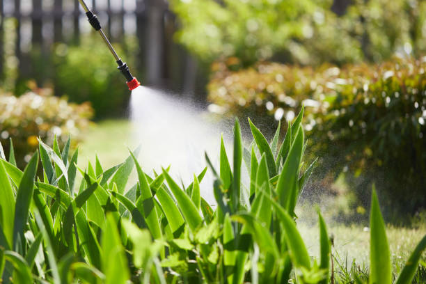 Tamper-Resistant Bait Stations for Rodents in Morrisonville