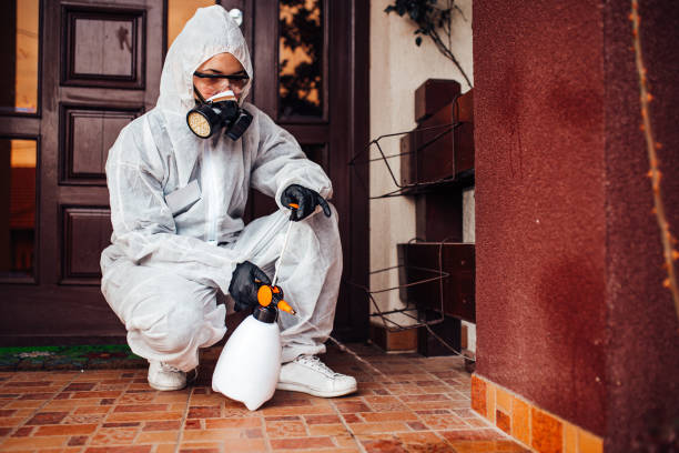 Attic and Crawl Space Rodent Treatment in Morrisonville